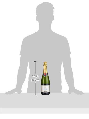 Codorniu Cava 1551 Brut Codorníu (1 x 750 ml) – Bild 4