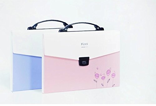 SHUTER Accordion Expanding File Folder with 13-Pockets,A4 and Letter Size (Pink)
