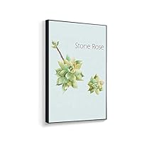 Framed Canvas Home Artwork Decoration Succulent Plant Canvas Wall Art for Living Room, Bedroom - 16x24 inches
