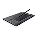 Wacom Intuos Pro Digital Graphic Drawing Tablet for Mac or PC, Small (PTH451)