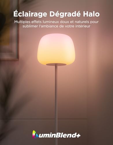 Govee Lantern Floor Lamp, RGBICWW LED Halo Lighting Floor Lamp & 1000 Scenes, Adjustable 1000K-10000K & 1400lm, Matter & Alexa Compatible, 160 cm Lamp for Living Room & Bedroom, Silicone, White