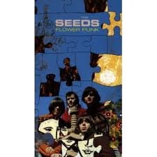 The Seeds - 1001 Songs You Must Hear Before You Die - Zortam Music