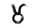 Taurus Zodiac Sign Temporary Tattoo, Set of 2