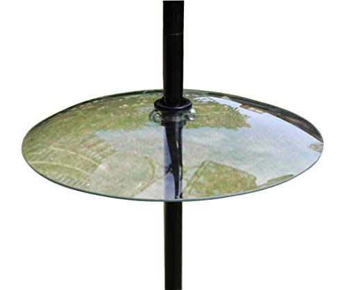 13 1/2 Inch Clear Glass Two-Way Squirrel Baffle and