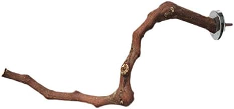 Shantan Bird Perch,Natural Wood Bird Perch for Cage for Parrot Cages Toy Birdcage Stands