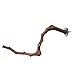 astolily Bird Standing Stick, Wild Grape Wood Pole Bird Cage Perches, Natural Wooden Stand Toy Branches for Cockatiels Parakeets Finchesthumb 1
