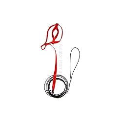 The AVIATOR Pet Bird Harness and Leash: Mini Red