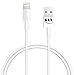 GRNZOON 2 Wall Chargers + 2 Lightning USB Cables for iPhone 5 5s 6 6Plus 6s 6s Plus SE 7 7PLUS,iPad 4,air 2,pro, Mini or iPod Touch 5, Nano (WHITE)