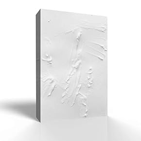Canvas Wall Art Minimalism Style Pictures Home Wall Decorations for Bedroom Living Room Paintings Canvas Prints Framed - 12x18 inches