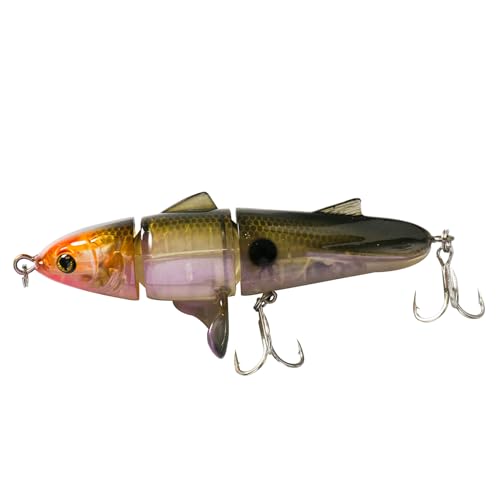 Fishing Lures