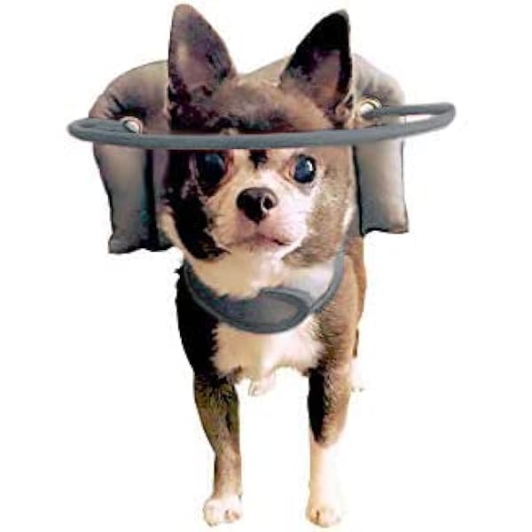 blind dog halo walmart