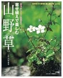 Image de Mountains grass to enjoy in the planting - from moss ball to mini bonsai (LADY BIRD Shogakukan practical series) (2006) ISBN: 4091034969 [Japanese Imp