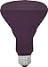 GE 22748 75-Watt Black Light Indoor R30 Flood, 1 Count (Pack of 1)