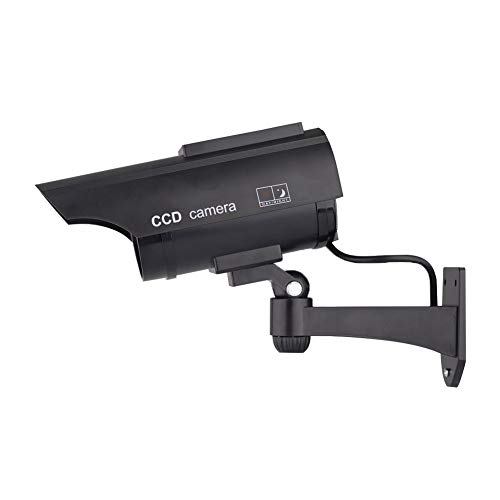 2 YSUCAU+Simulated+Surveillance+Security+Flashing