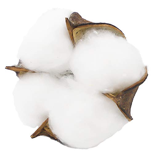 4 CEWOR+Natural+Farmhouse+Furniture+Decoration