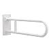 Moen R8960FDW 30-Inch Flip-Up Screw-In Bath Safety Screw-In Bathroom Grab Bar, Glacier