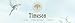 Timeson Women's Long Sleeve Crowl Neck Lightweight Pullover Hooded Sweatshirt With Pocket