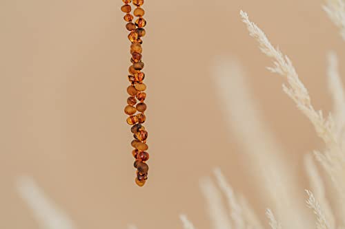 Baltic Wonder Baltic Amber Necklace (Baroque Polished Cognac/Raw Cognac) Unisex