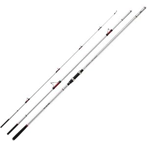 Daiwa Canne Surf Emblem Surf – 454, Porte-moulinet Tubulaire, 420, 3, 7, 156, 100-225