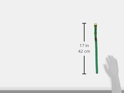Mendota Double-Braid Junior Collar, Kelly Green, 9/16" Up to 14"