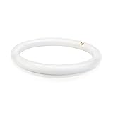 (6 Pack) Philips 391177 Circline Fluorescent 32-Watt 12-Inch T9 Cool White Light Bulb