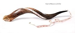 Yemenite Kudu Horn Shofar Shofars with Free Anti