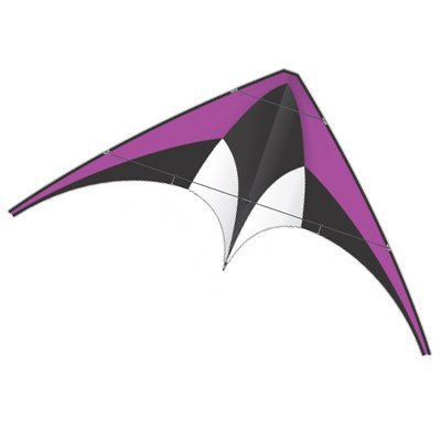 X-kites dc sport 60   wide purple dual control nylon ki…
