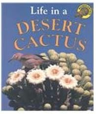 Life in a Desert Cactus (Microhabitats)