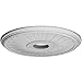 Ekena Millwork CM20BE1 20 1/8-Inch OD x 3 7/8-Inch ID x 1 7/8-Inch Berkshire Ceiling Medallion