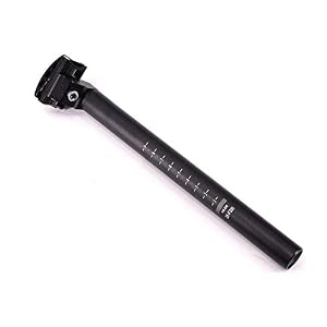 WINWEY Bicycle Seatpost, Cycling MTB Road Bike Seat Post 11.8inch（300mm） 7 sizes (φ 25.4/27.2/28.6/30.4/30.8/31.6/31.8mm…