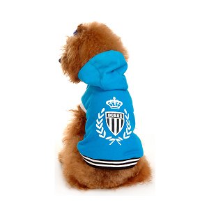 champion dog sweatshirt