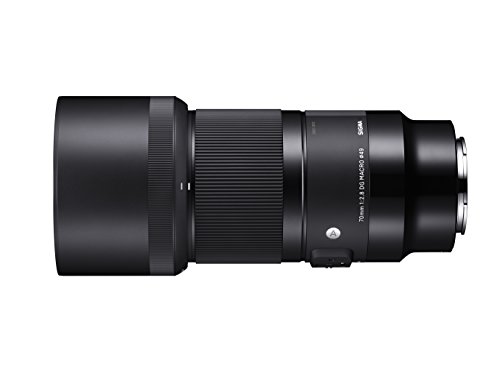 Sigma 70mm F2.8 Art DG Macro For Sony E