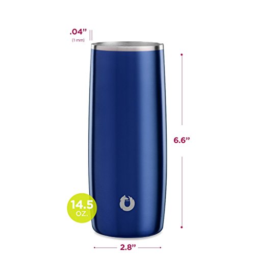 SNOWFOX Insulated Stainless Steel Drink 14.5 oz. Highball Glass, Set of 2, Navy Blue