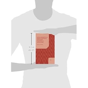 Developments in Mean-Variance Efficient Portfolio Selection