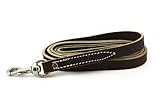 Leerburg's Latigo Leather Dog Leash - Brown - 6