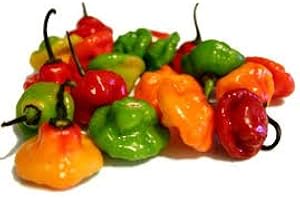 TROPICAL IMPORTERS Fresh Aji Cachucha Peppers (1 Lb)