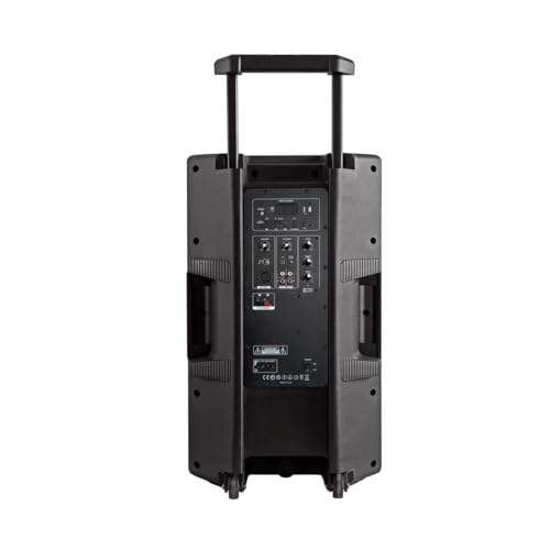 Daewoo Bocina Bafle XPRO TWS 15 Pulgadas Bluetooth Portatíl con Tripie Potencia 100,000W Subwoofer Integrado Entrada para Microfonos Ideal para Karaoke