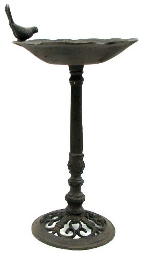 Amazon Com Homecrafts4u Bird Feeder Birdbath Bowl Large Tall
