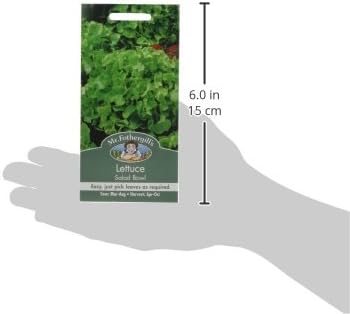 Mr Fothergill's 10254 Vegetable Seeds, Lettuce Salad Bowl, Green - Image 4