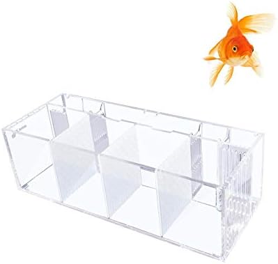 Fish tank Isolated fish tanks Glass aquarium Environmentally friendly design high permeability multi directional water outlet easy to change water suitable for fish farming