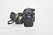 Nikon D5600 24.2MP DSLR Touchscreen Camera with SnapBridge Bluetooth and Wi-Fi with NFC (Body Only)