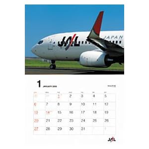 JAL「FLEET」(普通判)