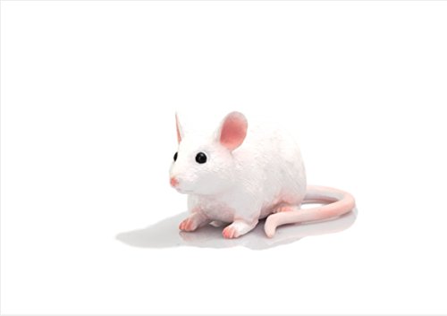 Mojo Fun 387235 Mouse Realistic Toy Pet