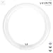 Luxrite LR20585 FC12T9/D 32-Watt 12 INCH T9 Fluorescent Circular Light Bulb, Daylight 6500K, 1600 Lumens, G10Q 4-Pin Base, 1-Pack