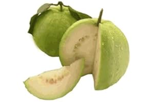TANG STORE Fresh Guava 1lb