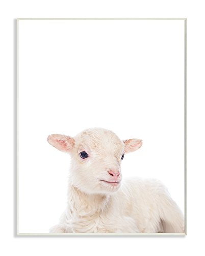 Stupell Home DÃ©cor Baby Lamb Studio Photo Wall Plaque Art, 10 x 0.5 x 15, Proudly Made in USA