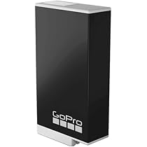 GoPro MAX : Amazon.ca: Electronics