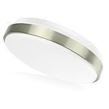 SHINE HAI LED Flush Mount Ceiling Light, 11 inch 14W (100W Incandescent Equivalent), 5000K Daylight White, Dimmable Ceiling Light Fixture for Kitchen Dining Living Room