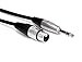 Hosa HXS-005 REAN XLR3F to 1/4 Inch TRS Pro Balanced Interconnect Cable, 5 Feet