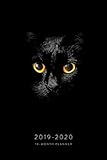 2019 - 2020 18-Month Planner: Black Cat in the Shadows Daily Planner, July 2019-December 2020 (Daily by Crazy Cat Lady